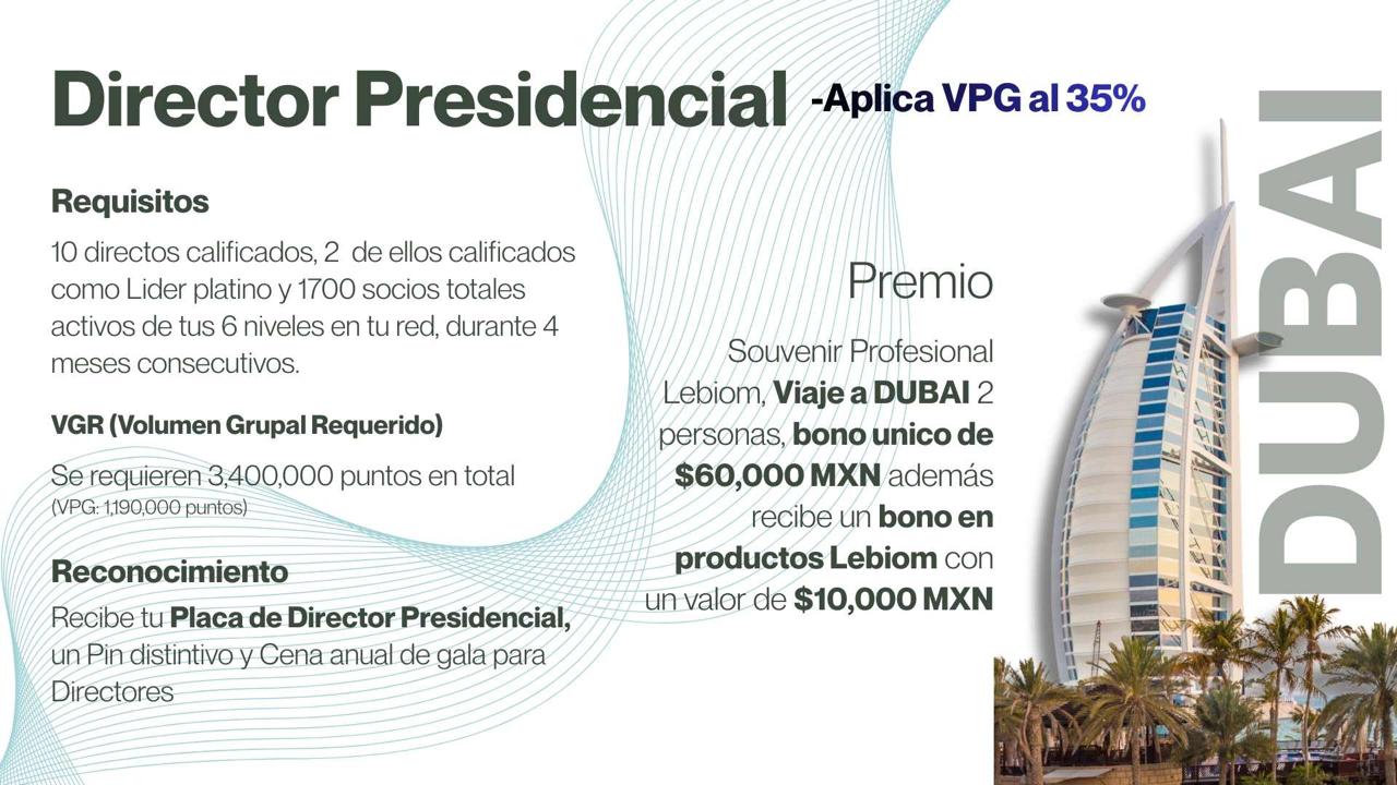 Director Presidencial